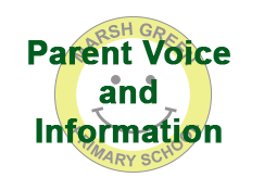 Parent Voice and Information
